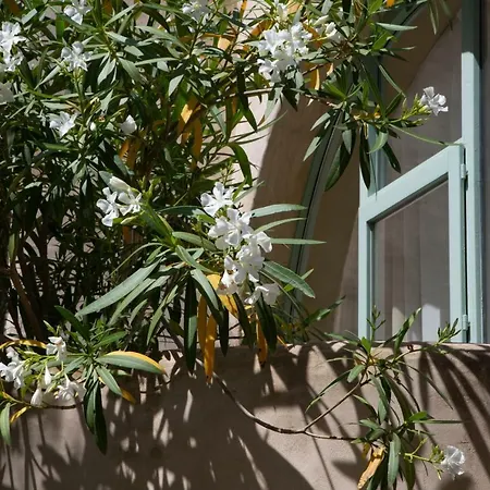 Casa Arcos At Masia Nur Sitges, Adults Only Villa *